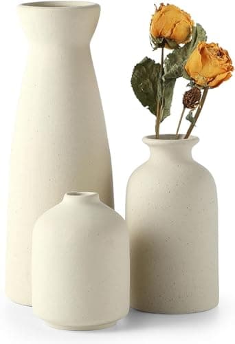 Sawoake Beige Keramik Vasen 3er-Set Kleine Blumenvasen für Dekor, Moderne rustikale Bauernhaus Home Decor, Dekorative Vasen für Pampas Grass Idee Regal (Beige) Öko