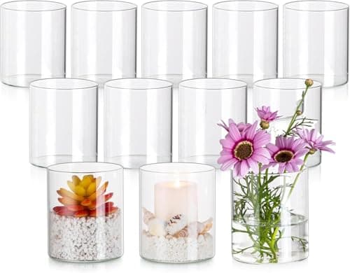 ZOFUN 12 Stück Vase Glas 10cm Hohe Glasvasen für Tischdeko,10 x 8,5 cm Glasvase Gross Klar Glasvase Zylinder Runde, Blumen Vasen Glaszylinder Vase Kleine Vasen für Tischdeko, Rosen, Tulpen