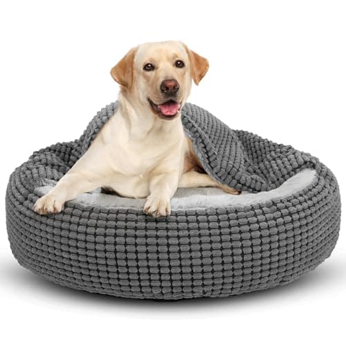 JOEJOY Hundebett Grosse Hunde, Katzenbett Rund mit Decke, Hundekorb Waschbar Flauschig, Hundebetten für Katzen und Mittlere Grosse Hunde, 79x79x20cm