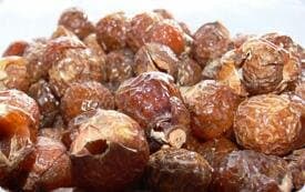 Indische Waschnüsse im 1kg Beutel BIOVA Bio