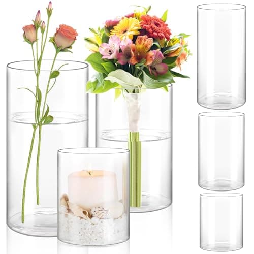 APACALI 6 Stück Glasvase Gross, 10/15/20cm Hoch Blumenvase Zylindrisch, Klar Glasvase Rund Schmale Vase klarem, Glas Blumenvase für Orchideen, Rosen, Tulpen, Pampasgras, Tischdeko, Kerze
