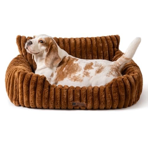 MEWOOFUN Hundesofabett - Katzenbetten für Hauskatzen Weich und Flauschig, Katzensofabett Kleines Hundebett für Hunde und Katzen, Beruhigendes Hundebett (Braun, 76x53x30cm)