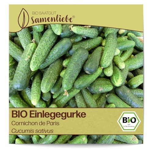 Samenliebe BIO Einlegegurken Samen alte Sorte Cornichon de Paris Snackgurke Gurke grün 10 Samen samenfestes Gemüse Saatgut für Gewächshaus Freiland und Balkon BIO Gemüsesamen Bio Öko