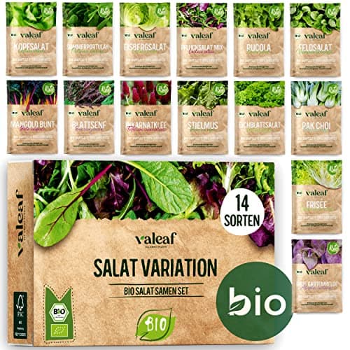 BIO Salat Samen Set - 14 Sorten Salatsamen aus biologischem Anbau I samenfestes Salat Saatgut I Bio Salat Set für Balkon, Garten und Hochbeet I 14er Saatgut Gemüse inkl. Gemüsesamen alte Sorten Bio