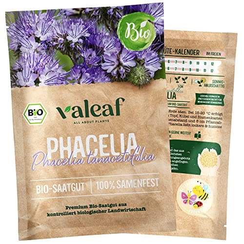 valeaf BIO Wilde Blumen Samen I Premium Wildblumensamen zur Blumen Anzucht I Bunte Wildblumenwiese für Garten, Balkon I samenfestes Blumen Saatgut I Pflanzensamen (Phacelia (BIO)) Bio