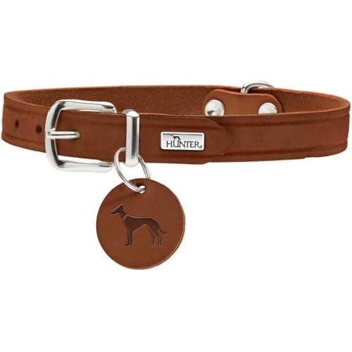 HUNTER Hundehalsband AALBORG, Farbe: cognac, robustes & strapazierfähiges Leder, starke Fettung, ideal für Hundesport & Alltag, mit Lederanhänger, Made in Germany, Größe: 47