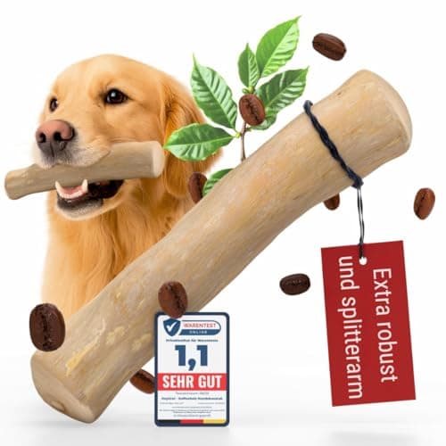 Heygret Kauknochen aus Kaffeeholz für Hunde L - Natürliches Kauspielzeug zur Zahnpflege & Stressabbau - Langanhaltende Beschäftigung mit nachhaltigem Kauholz - Kaustab Öko