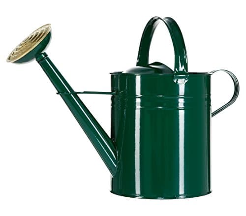 Dehner Gießkanne nostalgisch, 9 l, ca. 48 x 37 x 21 cm, Zink, grün Öko