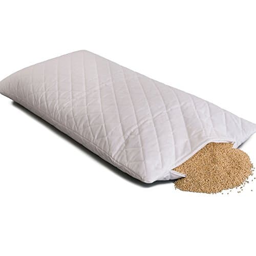 GIRAFFENLAND Bio-Hirsekissen 40x80cm Steppware weiß, direkt befüllt | Stütz Kopfkissen | fest & formstabil Bio