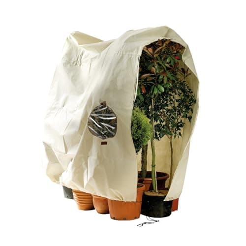 Bio Green Premium Kübelpflanzensack Window Jumbo | 200 x 240cm | Frostschutz & Winterschutz | Schutzhülle Kübelpflanzen +Sichtfenster | Pflanzenschutz Bio Öko
