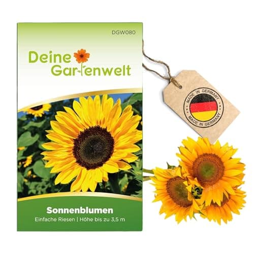 Sonnenblumen Einfache Riesen Samen - Helianthus annuus - Sonnenblumensamen - Blumensamen - Saatgut für 20 Pflanzen