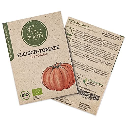Little Plants BIO Tomatensamen Brandywine, 15 Tomaten Samen, hohe Keimrate, 100% Natürlich, BIO Saatgut Fleischtomate Samen für Gemüsegarten Tomaten Hochbeet – BIO Tomate Samen Nachhaltig Bio Öko