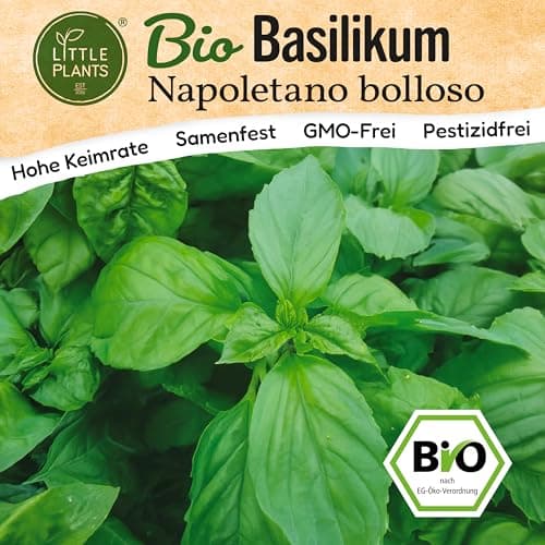 Little Plants BIO Basilikum Napoletanisch Samen 500 Basilikumsamen Kräutersamen Samenfest für Kräutergarten Kräuter Samen Küchenkräuter für Küche, Balkon und Garten Bio