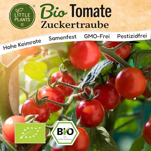 Little Plants BIO Tomaten Samen 10 Tomatensamen Zuckertraube Kirschtomate Gemüsesamen für Gemüsegarten Samenfest Gemüse Samen für Küche, Balkon und Garten Bio