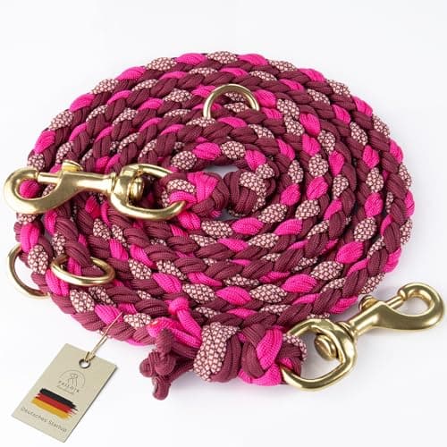 Tailoir Hundeleine 2m geflochten - Leine Hund, Mittelgroße - Große Hunde, Leine verstellbar, Hundeleinen, Dog Leash Führleine, Bissfeste Hundeleine zum Umhängen, Trainingsleine, Freihandleine Paracord