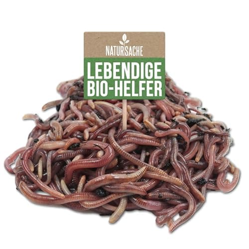 Natursache Kompostwurm-Mix 250 STK./Box + E-Book I Mit 3 Arten lebenden Kompostwürmer I Für eine schnelle & nachhaltige Kompostierung in Schnellkomposter, Thermokomposter und Wurmkomposter etc. Öko