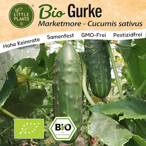 Little Plants BIO Gurke Samen 10 Gurkensamen Marketmore Gemüsesamen für Gemüsegarten Topf Samenfest Gemüse Samen für Küche, Balkon und Garten Bio Öko