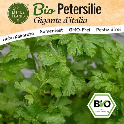 Little Plants BIO Petersilie Gigante ditalia Samen 500 Petersiliensamen Kräutersamen Samenfest für Kräutergarten Kräuter Samen Küchenkräuter für Küche, Balkon und Garten Bio
