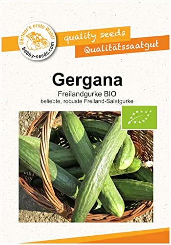 BIO-Gurkensamen Gergana Salatgurke Portion Bio