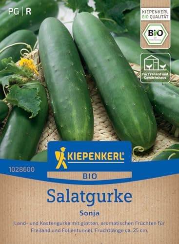 Kiepenkerl Salatgurkensamen Sonja 1028600 - BIO Gurkensamen für aromatische, glatte und bitterfreie Gurken, ideal für Freiland und Folientunnel, robuste Gemüsesamen Bio