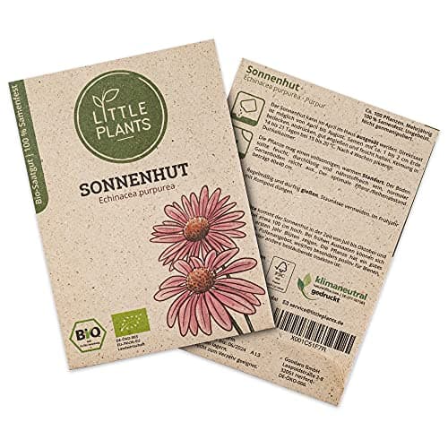 Little Plants BIO Sonnenhut Samen, 100 Sonnenhutsamen, hohe Keimrate, 100% Natürlich, BIO Samen Echinacea Purpur für Blumengarten Blumenbeet Hochbeet – BIO Blumensamen Blumenwiese Nachhaltig Bio Öko