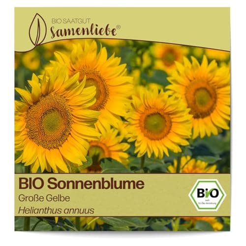 Samenliebe BIO Sonnenblume Samen Blumensamen Große Gelbe 100 Samen Blumen Samen Garten Sonnenblume Saatgut samenfeste einjährig Pflanzen für Gewächshaus, Garten und Balkon Bio Öko