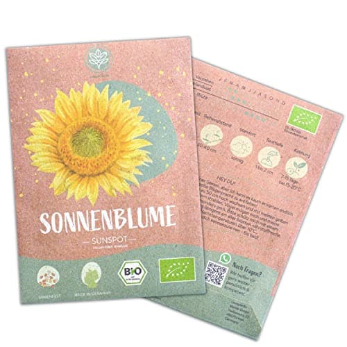 Bio Sunspot Sonnenblumen Samen, 20 Blumensamen mit hoher Keimquote, Sonnenblumensamen für deinen Garten, Balkon, Beet oder als Gastgeschenk. Samenfestes Blumen Saatgut. Bio Öko