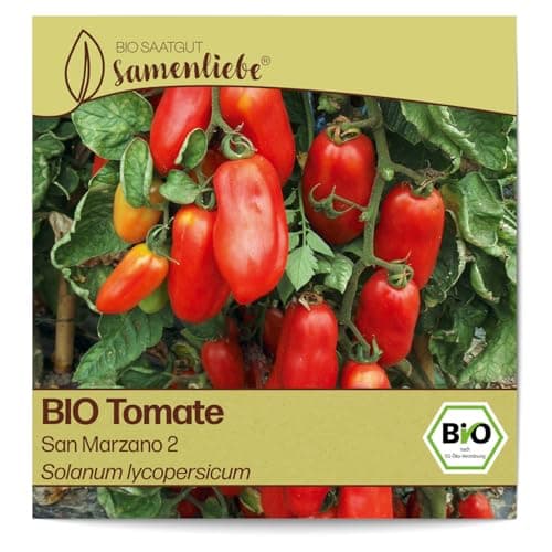 Samenliebe BIO Tomaten Samen alte Sorte San Marzano 2 italienische Tomate längliche Romatomate rot 10 Samen samenfestes Gemüse Saatgut für Gewächshaus Freiland und Balkon BIO Gemüsesamen Bio Öko