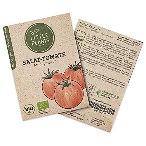 Little Plants BIO Tomatensamen Moneymaker, 15 Tomaten Samen, hohe Keimrate, 100% Natürlich, BIO Samen Salattomate für Gemüsegarten Tomaten Hochbeet – BIO Tomate Samen Nachhaltig Bio Öko